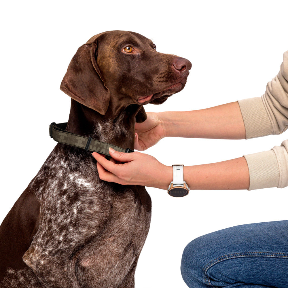 Dune Pattern Pet Collar