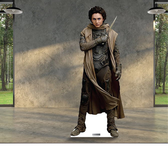 Link to /collections/dune/collectibles