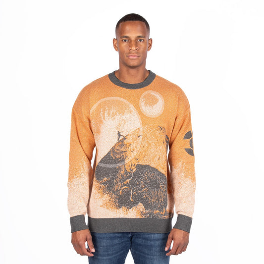 Dune Holiday Sweater