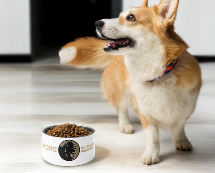 Link to /products/monsterverse-kong-pet-bowl