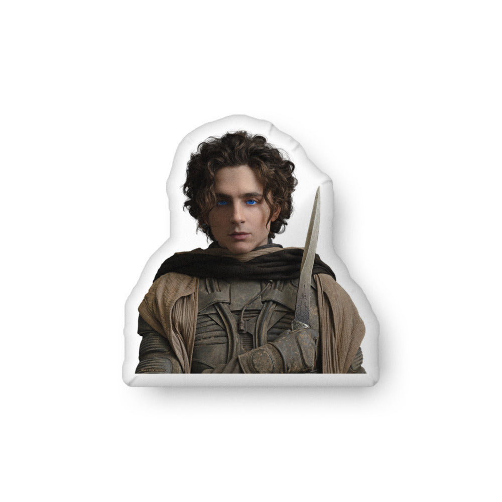 Dune Paul Atreides Pillow